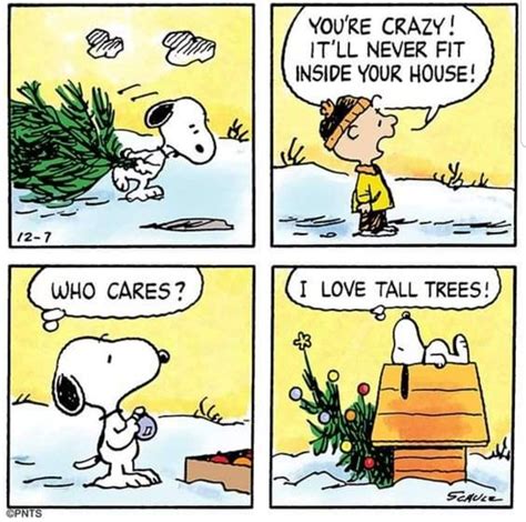 pin by julie bennett on snoop dawg snoopy comics christmas comics snoopy funny