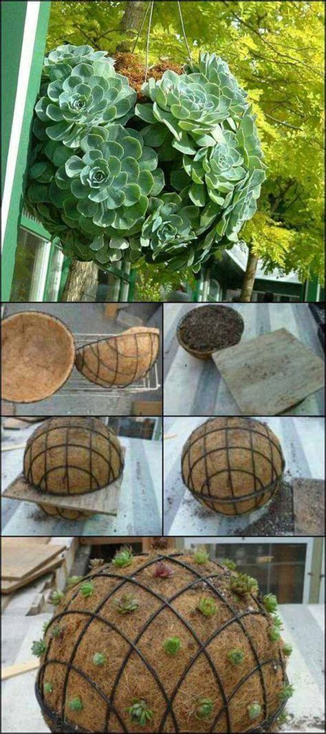 Small front yard landscaping succulent landscaping succulent gardening cacti and succulents planting succulents backyard landscaping succulent ideas landscaping design landscaping software. 20 Ideas for Creating Amazing Garden Succulent Landscapes ...