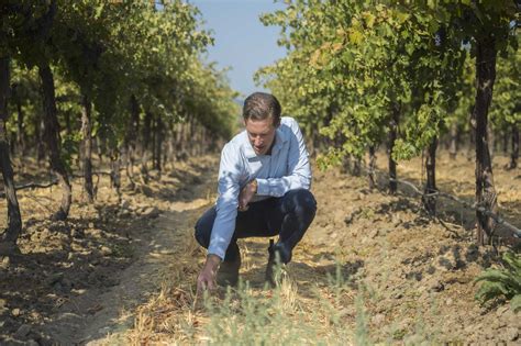 Regenerative Farming Might Make Better Tasting Wine