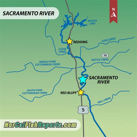 Sacramento River Upper Shasta Ca Fish Reports And Map