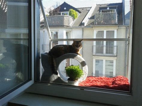 Hol dir deine stifte und los gehts. Fensterschutz für Katzen. Die Katzenloggia | Katzennetze ...