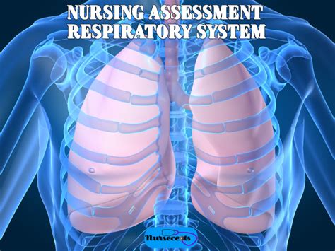 Nursing Health Assessment Of The Respiratory System Respiratory