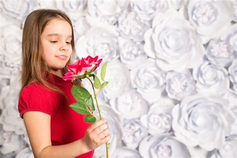 Menina Segurando Uma Flor Em Sua Mão Foto de Stock Imagem de