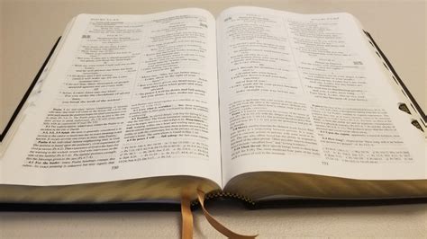 The Nabre Psalms A Hidden Gem Catholic Bible Talk
