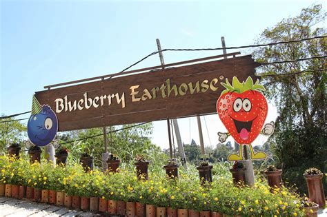 There is an assortment of different fresh honey for sale. Blueberry Earthouse, Brinchang