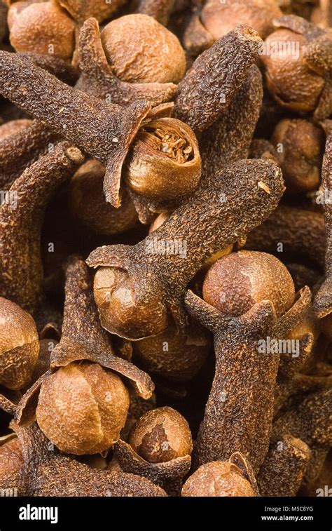 Spice Cloves Eugenia Caryophyllata On Wood Background Stock Photo Alamy