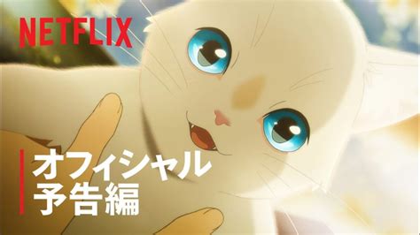 Nakitai Watashi Wa Neko Wo Kaburu Netflix Release Date Announced