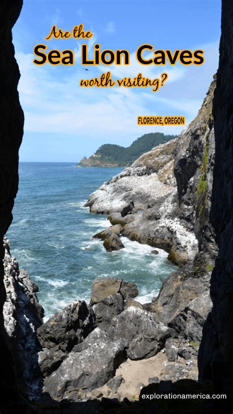Is It Worth Seeing The Sea Lion Caves In Florence Oregon