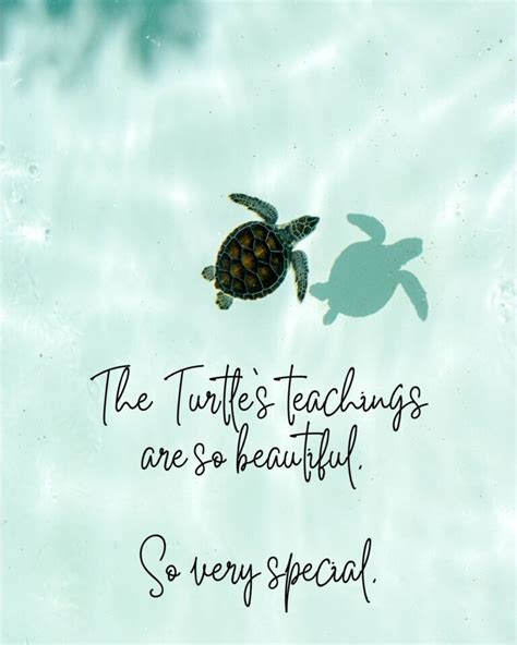 101 Turtle Quotes For Sea Land Darling Quote