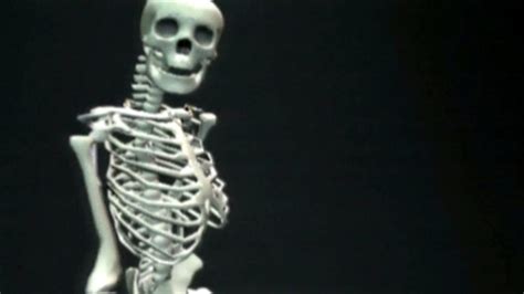 Bbc Two Science Clips Moving And Growing Skeletons