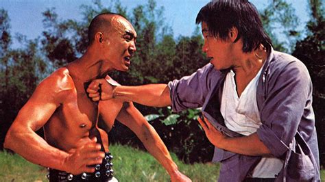 My Kung Fu Twelve Kicks Aka Incredible Master Beggars 1979