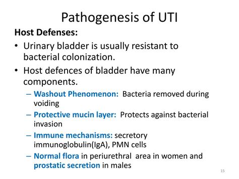 PPT URINARY TRACT INFECTION PowerPoint Presentation Free Download ID