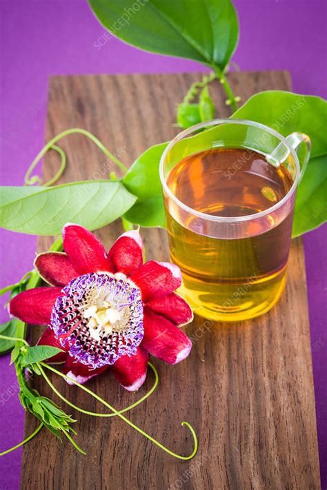 Herbal Tea Of Passiflora Stock Image C035 1235 Science Photo Library