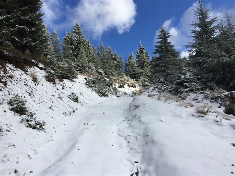 100 Drumeții De Iarnă în Munții Noștri Muntii Nostri