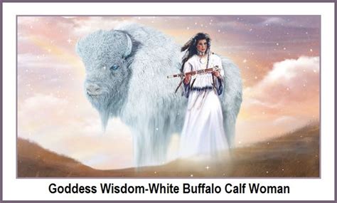 Kirok pretended to understand, and feigned his regrets for his actions. Goddess Wisdom-White Buffalo Calf Woman | White buffalo ...
