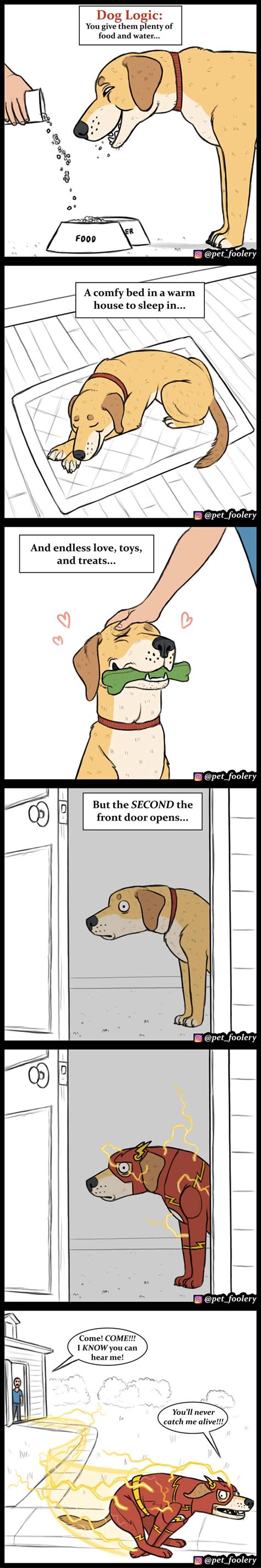 30 Funny Comics About Animals By Pet Foolery Bored Panda
