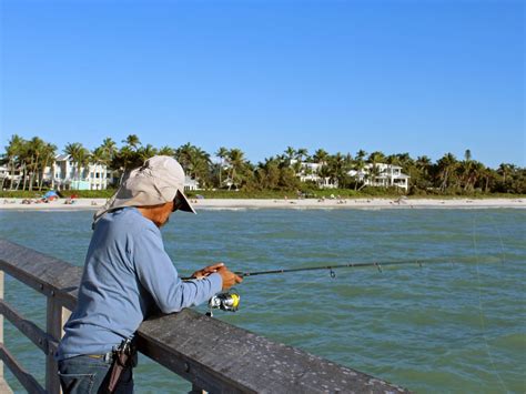 Pier Fishing Tips For Beginners Gary Spivack