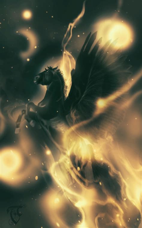 Black Pegasus Fantasy Horses Magical Horses Pegasus Art