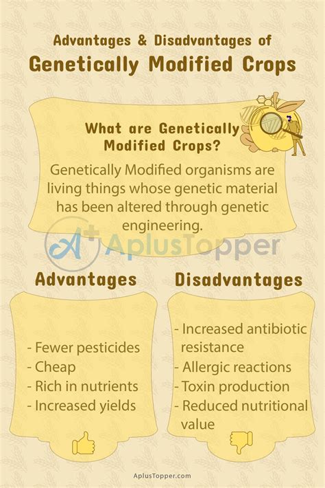 genetically modified crops advantages and disadvantages advantages