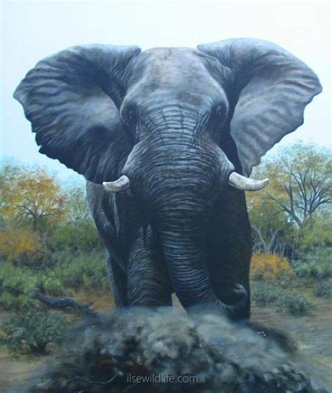 Elephant Paintings Wildlife Paintings By Ilse De Villiers Real Africa
