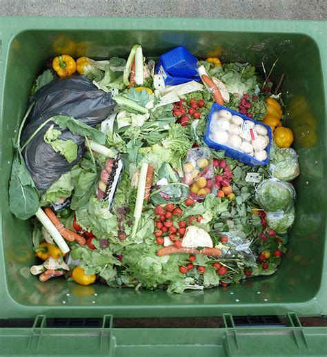 Food Waste And Solutions For Combating The Crisis Office Of