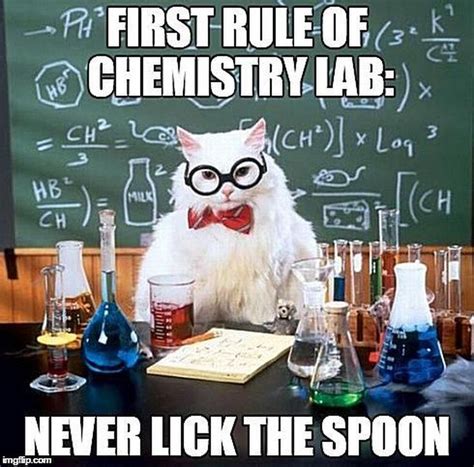 Chemistry Cat Chemistry Jokes Chemistry Cat Science Puns
