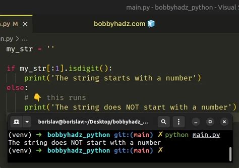 Check If A String Starts With A Number Or Letter In Python Bobbyhadz