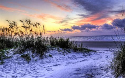 Hilton Head Island South Carolina Usa Beach Grass Sea