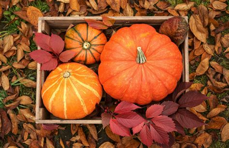 When Is The First Day Of Fall Fun Facts About The Fall Equinox