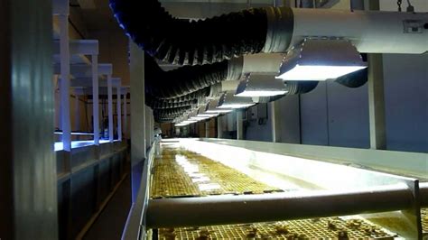 Maybe you would like to learn more about one of these? Gavita Pro 300 LEP plasma - growing coral at EcoCoral in a ...