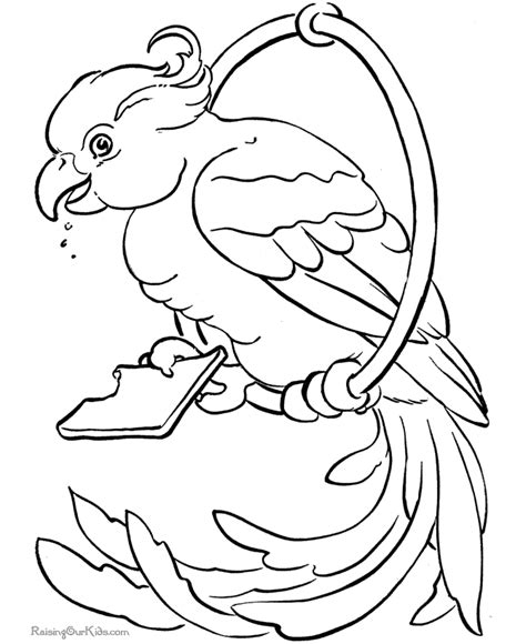 Tropical Bird Coloring Pages Coloring Home