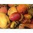 Five Most Popular Jamaican Mangoes