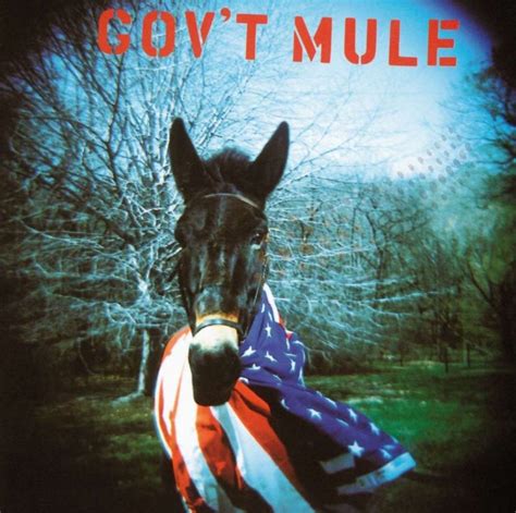 Govt Mule Govt Mule 1995 Musicmeternl