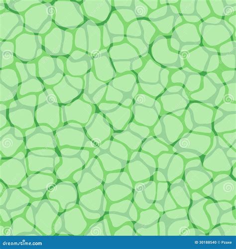 Plant Cells Micro Pattern Vector Background Stock Vector Illustration