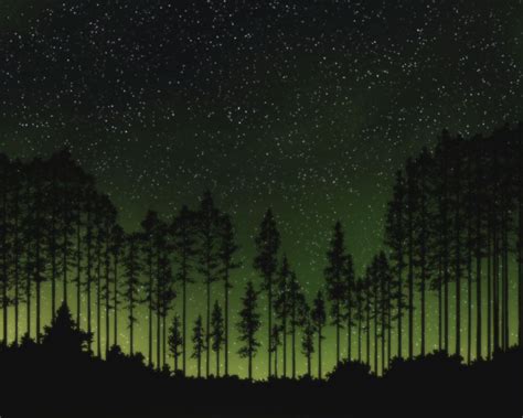 Forest Horizon At Night Пейзажи Дерево Ночь
