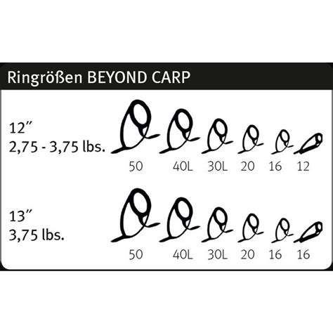 De Sportex Beyond Carp 12FT 3 00LB Karperhengel KarperCentrale