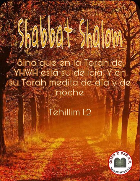Pin By Haziel On Shabbat Shalom Shabbat Shalom Images Shabbat Shalom