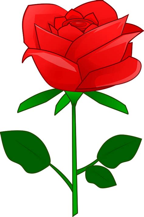 Red Rose With Stem Clipart Free Download Transparent Png Creazilla