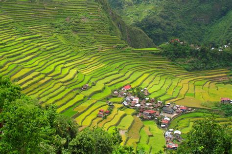 Photos That Will Make You Want To Visit Banaue Rice Terraces