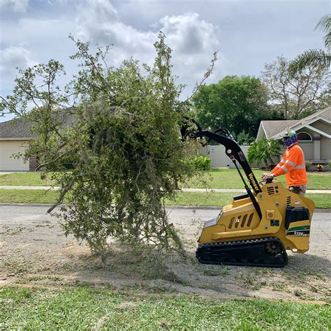 How long it takes to become a certified arborist depends on how certification is approached. Tree Service Melbourne | Tree Service Palm Bay | ISA ...