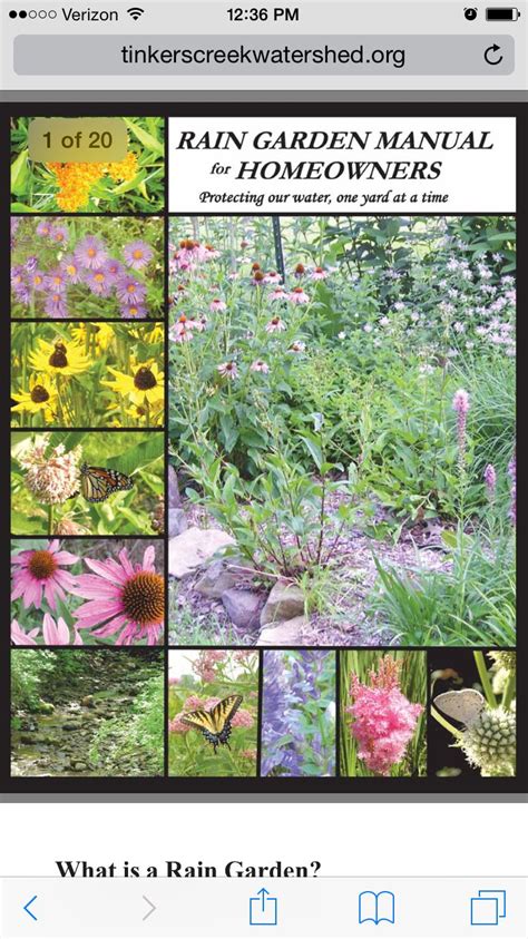 Rain gardens absorb 30% more water than the same size area of turfgrass. Rain garden native Ohio plants | Rain garden, Garden ...
