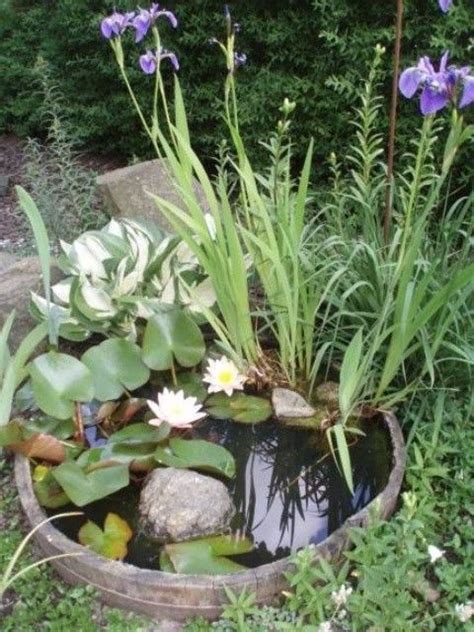 Piante di fiori acquatici iris. Vytvořte si vlastní mini rybníček | Giardini acquatici, Giardino d'acqua, Giardino fai da te idee