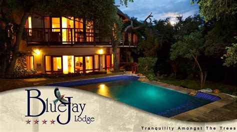 Luxury Game Lodge Accommodation Blue Jay Lodge Hazyview Mpumalanga South Africa Travel Sa