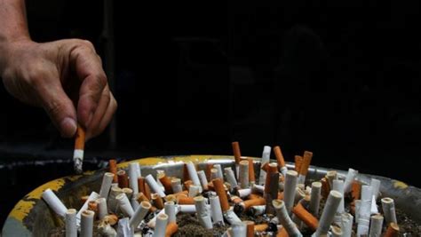 Em Comunicado Oms Defende Proibi O De Cigarros Com Sabor No Brasil