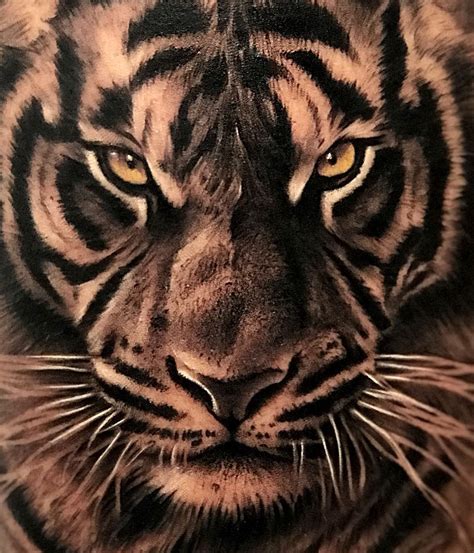Épinglé par Valère Derveeuw sur Tatouage en 2020 Tatouage de tigre