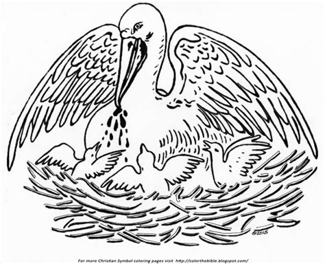 The Pelican In Christian Symbolism Color The Bible