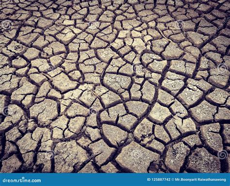 Dried Cracked Earth Soil Ground Texture Background Stock Photography
