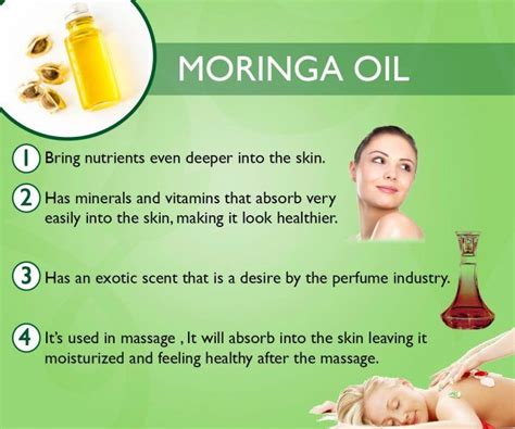 11 Tremendous Benefits Of Moringa Oil You Must Know My Health Only