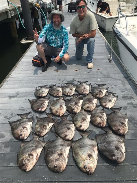 Virginia Saltwater Fishing Report
