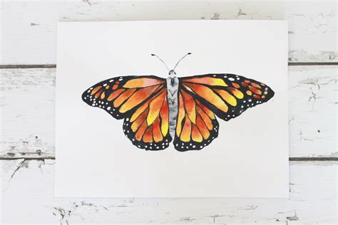 Monarch Butterfly Original Painting Print Etsy Butterfly Watercolor